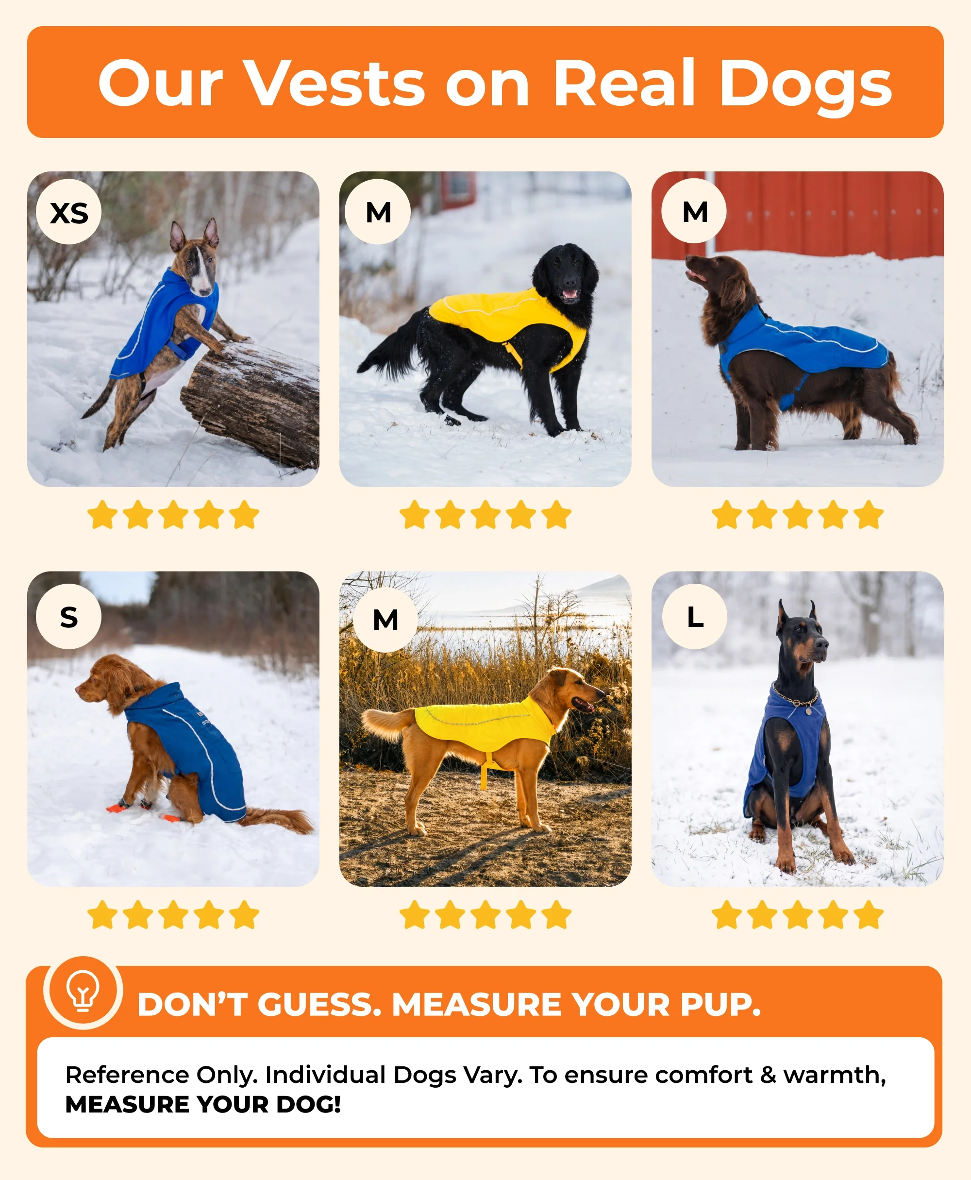 Koldpwoof 4-Zone Heated Dog Vest w/ LED Lights - Image 10